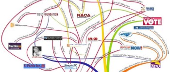 A Single Seed Grows Many Branches: ACORN’s Web of Connections in North Carolina