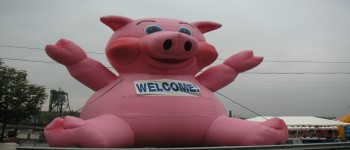Cut This, Go Home: Eliminate Local, “Pork” Projects From State Budget