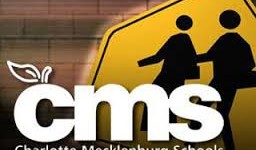 Poll results give CMS much to think about
