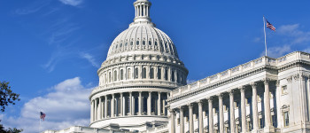 In Congress, Much Ado About Nothing
