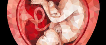 The Many Victims of Abortion Expansion