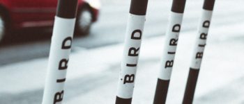 Racist Taxes, Scooters, and Family Vacations