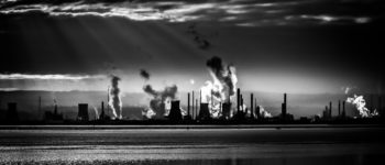 The Green New Deal, Cocaine Mitch, and Greatest Love Stories