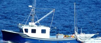 Anglers and shrimpers vie for fishing rights
