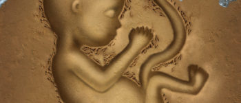 Did Charlotte abortion doctor tell pro-lifers to ‘rape them and send them here?’