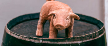 Pork spending totals over $125 million in state budget