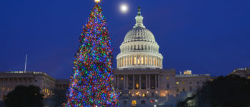 Tis the season for political intrigue